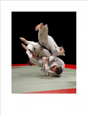 bec jiu jitsu 3 Image
