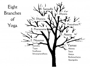 picture of the 8 limbs of yoga