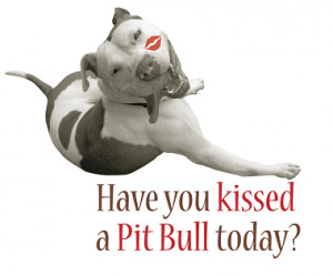 Have you hugged your Pit today?? O.o