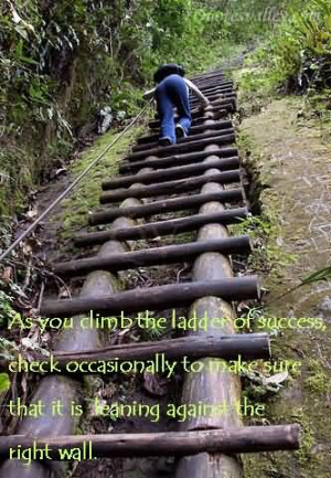 You Climb The Ladder Success