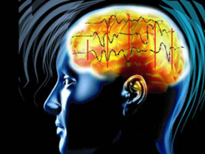 Depression drug could delay brain injury recovery - The Economic Times