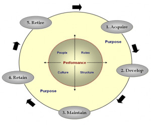 Organizational development