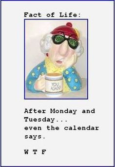 Maxine Funny Quotes About Life