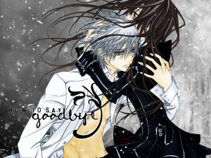 Anime Couple Vampire Knight Couple