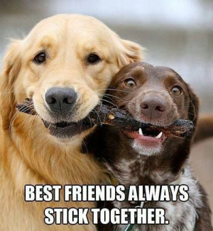 Friends stick together