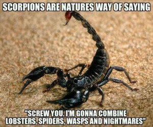 ... Screw you I m gonna combine lobsters spiders wasps and nightmares