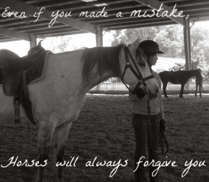 Horse quotes, Horse Gallery