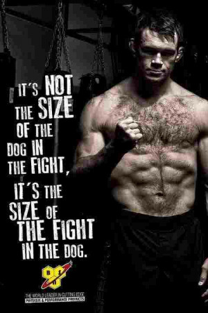 Fight -- nice meme using MMA fighter, Forrest Griffin