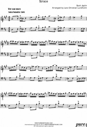 Solace Pure Sheet Music Duet for French Horn and Cello, Arranged by ...