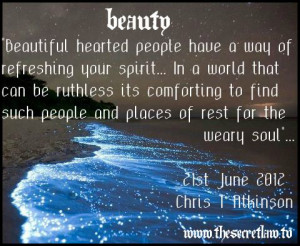 Beauty Beauty Inspirational Quote by Chris T Atkinson