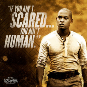 The Maze Runner Movie Quote
