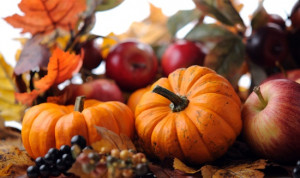 There are dozens of farms, orchards and markets to pick pumpkins ...