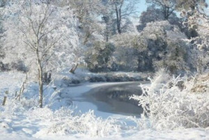 Let it snow, let it snow, let it snow..... *