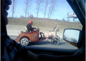 Published 2012/04/09 at 600 × 428 in Daily Picdump #448 .