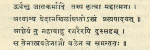Sanskrit Text of Mahabharata