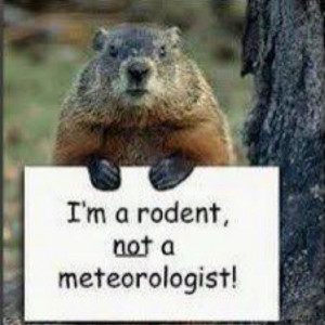 Groundhogs day