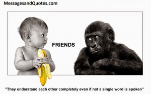 famous quotes on friendship Funny Sayings And Quotes About Idiots