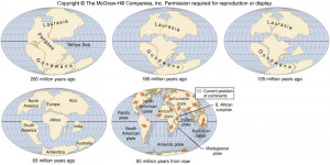 Animation shows the movements of the continents and how they arrived
