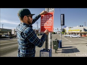 Posted by Matthew Garner on December 30, 2013