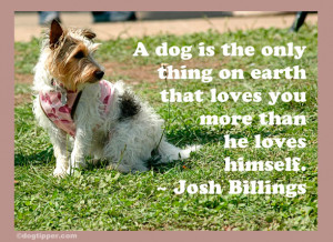 Famous Dog Quotes: Dogs & Humans