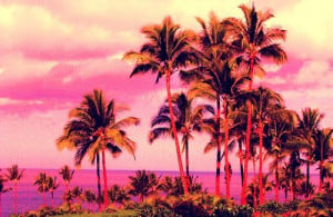 palm trees | via Tumblr