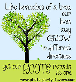 quote - like branches of a tree our lives may grow in different ...