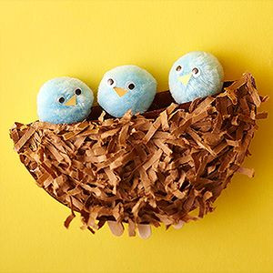 Baby Bird Nest Bring the outdoors inside by creating a cozy new home ...