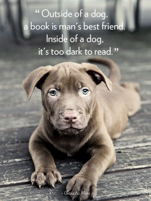 Dog Quote About Love