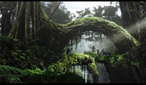 14 december 2005 titles king kong king kong 2005