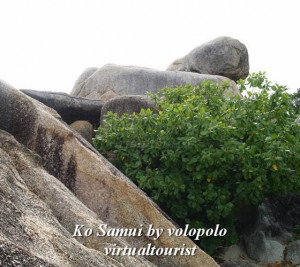 new great grandmother clip art