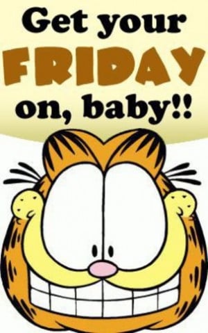 tgif,humor,garfield,funny pictures,john brewer