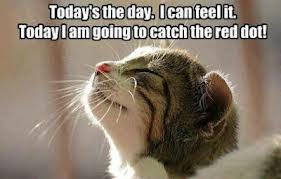 Saturday Afternoon Quotes