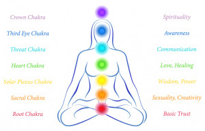 It’s important to understand the functions of the main seven chakras ...