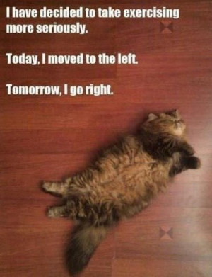 Funny-exercise-meme-quotes-laughing-time-have-fun-hilarious-photos-OMG ...