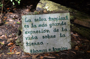 Quote from Thomas E. Lovejoy: 