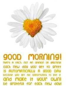 goodmorning #sunshine #awesome