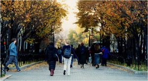 Indian Actoresses Melonie Haller 280 X 496 18 Kb Jpeg