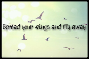 Funny Directioner Quotes