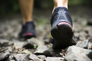 Outdoor Calorie Burners: Your Guide to Proper Trail Running! A must ...
