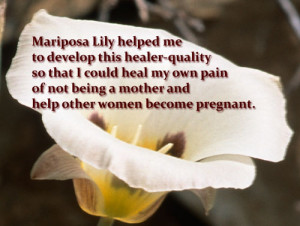 Using the Mothering Forces of Mariposa Lily in My Therapeutic Work