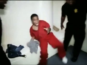 description whacked out meth head kittens do