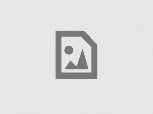 Glamour and Glitz and the Oscars -