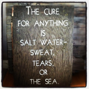 ... new sign. Isak Dinesen quote on old barn wood with moss growing on it