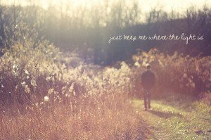 Tags: light nature photography