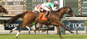 RODEO DRIVE STAKES QUOTES