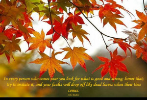 ... , Changing Leaves, and Chilly Nights With These 27 #Fall #Quotes