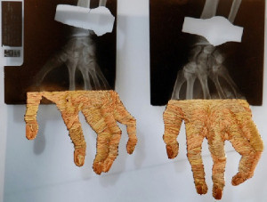 ... dragon by Steve Richards Cinemagraphs by Kevin Burg and Jamie Beck