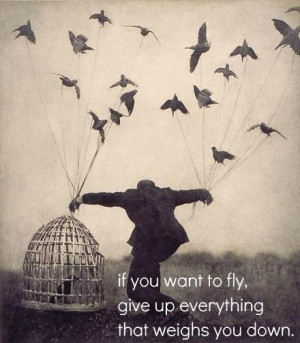 quote graphic - If you want of fly… #quote #inspiration