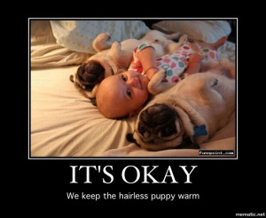 Dogs Are Not Our Whole...