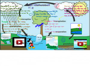 The Water Cycle Source